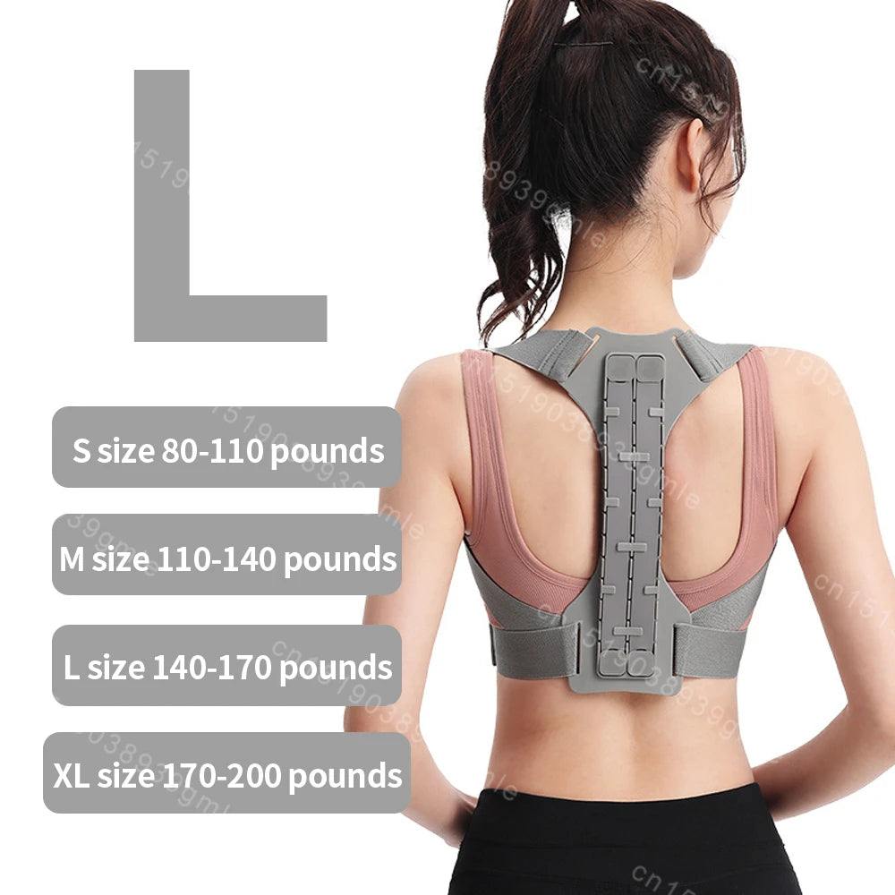 Back Align Clavicle & Lumbar Support Belt